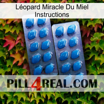 Léopard Miracle Du Miel Instructions viagra2